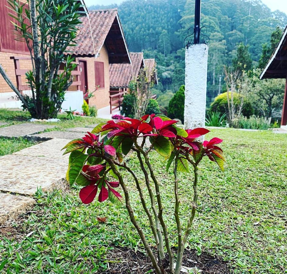 Chales Encantus Villa Monte Verde  Eksteriør billede